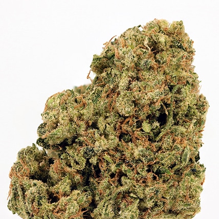 Durban Diesel Cannabis Flower Picture