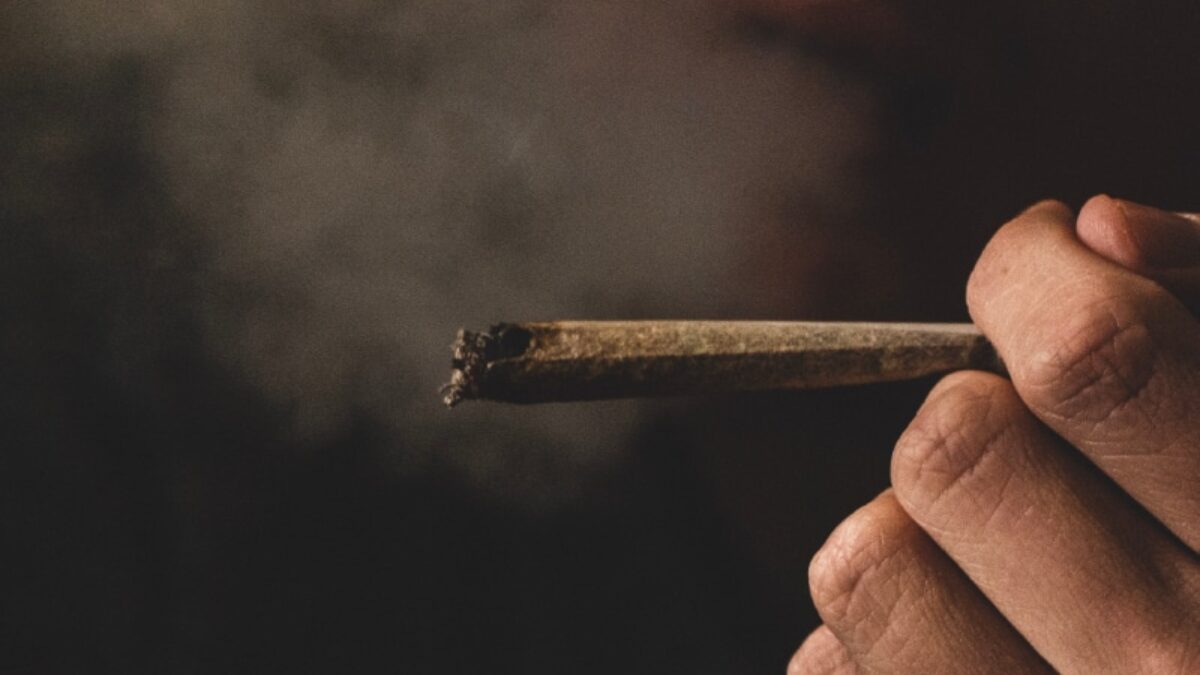 is tobacco leaf good for health Factsheets | Tobacco Prevention Toolkit