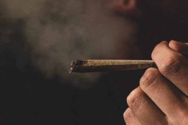 blunt unsplash license - Lit Dispensary how to smoke a blunt
