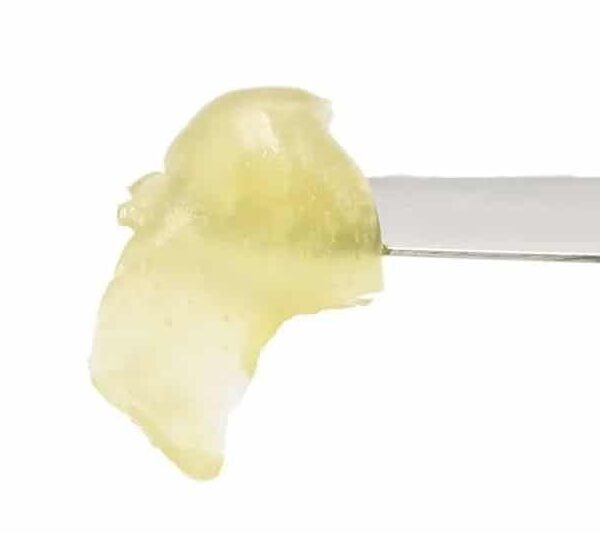 Live rosin concentrate on a dab tool - Lit Dispensary Live rosin concentrate on a dab tool